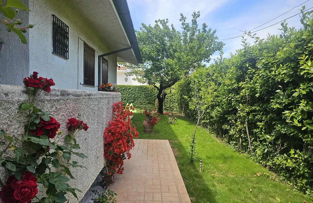 Villa Sofia-1